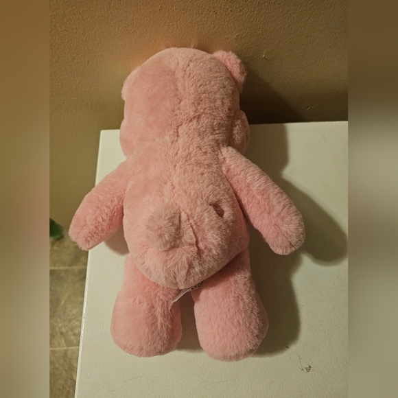 Care Bears 14" True Heart Bear Plush Toy - Picture 4 of 7